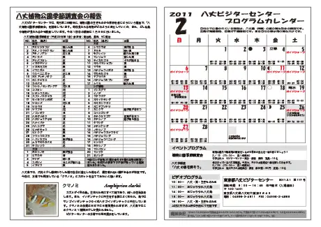 kokkome1102_2
