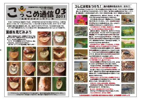 kokkome1103_1