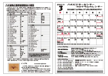 kokkome1103_2