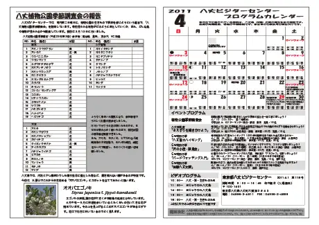 kokkome1104_2