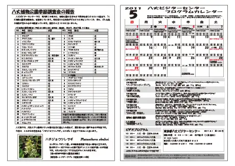 kokkome1105_2