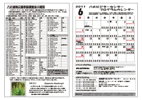 kokkome1106_2