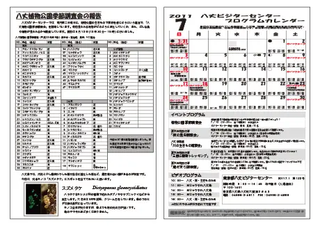 kokkome1107_2