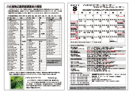 kokkome1108_2