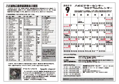 kokkome1109_2