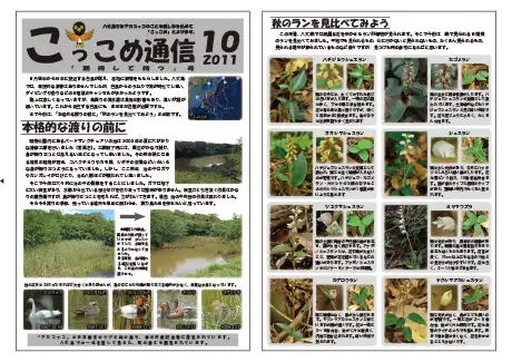 kokkome1110_1