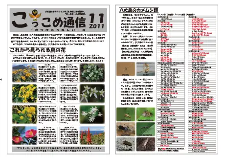 kokkome1111_1