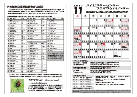 kokkome1111_2