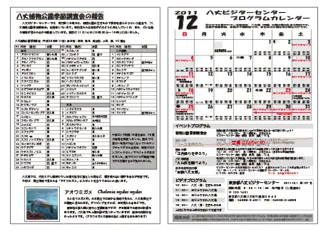 kokkome1112_2