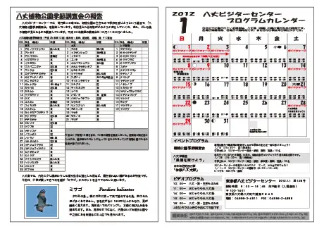 kokkome1201_2
