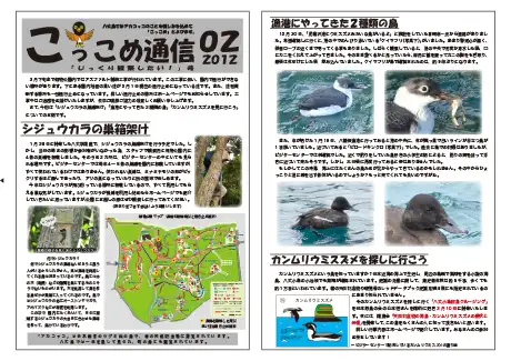 kokkome1202_1