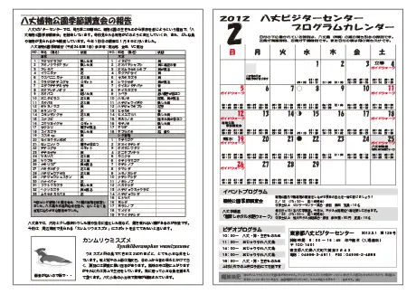 kokkome1202_2