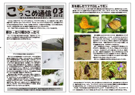 kokkome1203_1