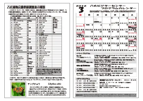 kokkome1203_2