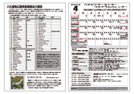 kokkome1204_2