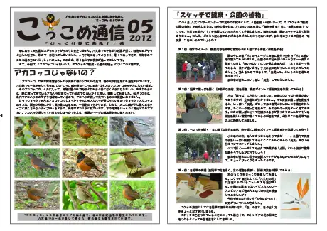 kokkome1205_1