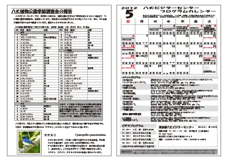 kokkome1205_2