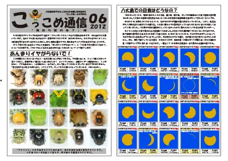 kokkome1206_1