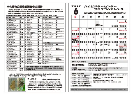 kokkome1206_2