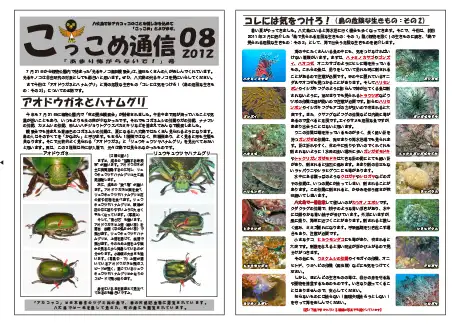 kokkome1208_1