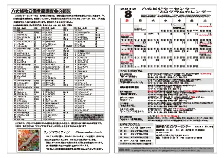 kokkome1208_2