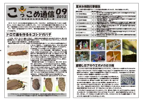 kokkome1209_1