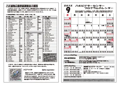 kokkome1209_2