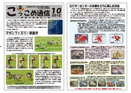 kokkome1210_1