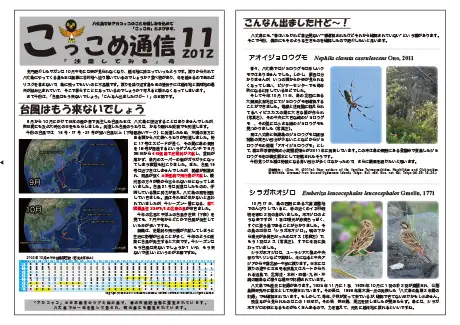 kokkome1211_1