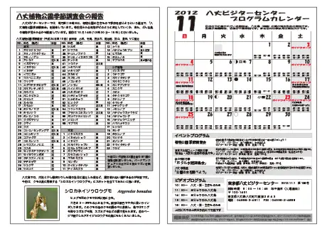 kokkome1211_2