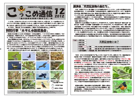 kokkome1212_1