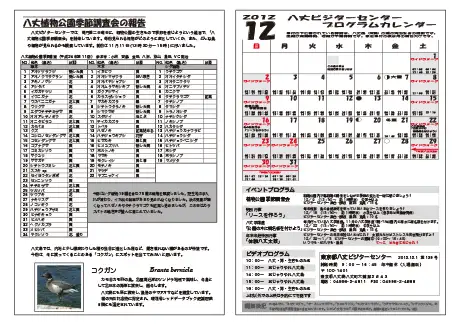 kokkome1212_2
