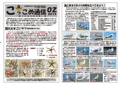 kokkome1302_1