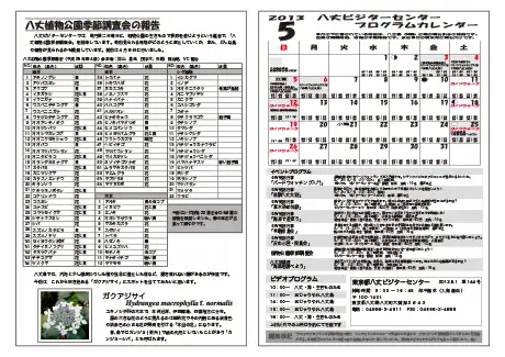 kokkome1305_2