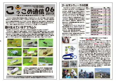 kokkome1306_1