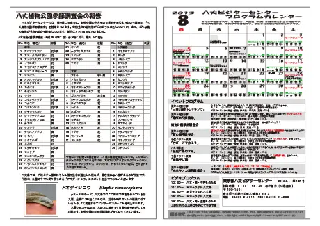 kokkome1308_2
