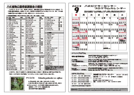 kokkome1309_2