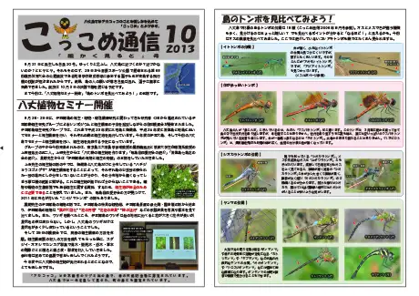 kokkome1310_1