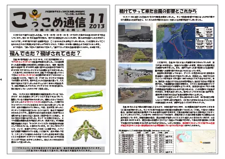 kokkome1311_1