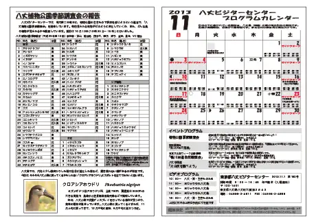 kokkome1311_2