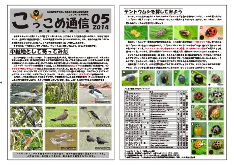 kokkome1405_1