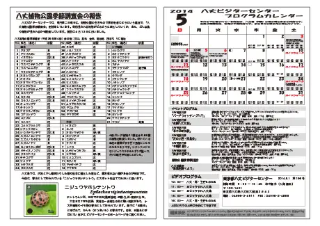 kokkome1405_2