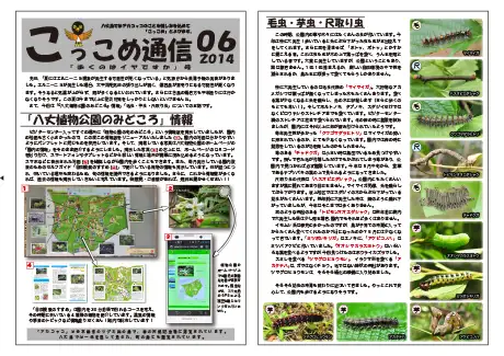 kokkome1406_1