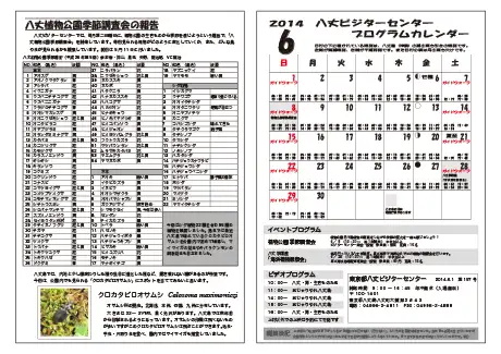 kokkome1406_2