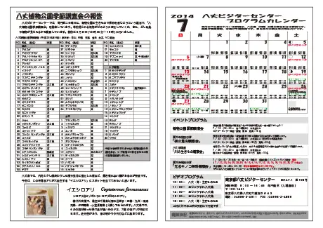 kokkome1407_2