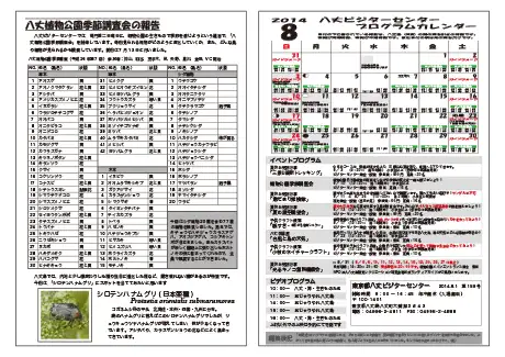 kokkome1408_2