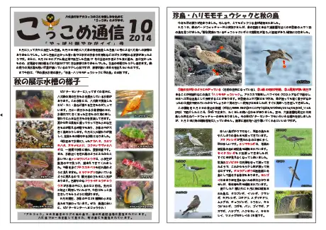 kokkome1410_1