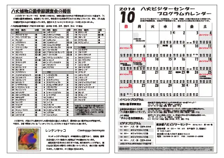 kokkome1410_2