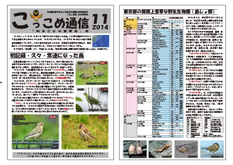 kokkome1411_1