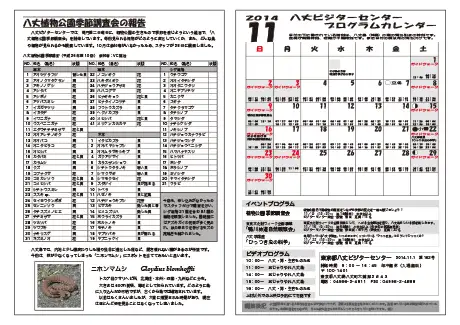 kokkome1411_2